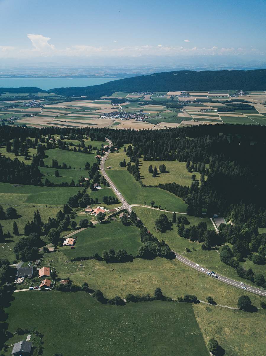 aerial view aerial view of green trees and sea shore landscape